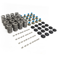 LS, MELLING, DUAL VALVE SPRING KIT, VSK46659